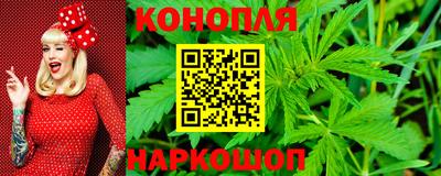 спиды Дубна