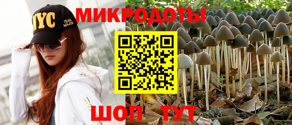 как найти закладки  Псилоцибиновые грибы мухоморы  Вход с VPN  Мурманск 
