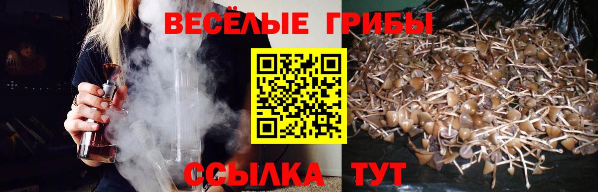 Галлюциногенные грибы Magic Shrooms Мурманск